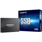 Накопитель SSD 2.5" 256GB GIGABYTE (GP-GSTFS31256GTND) U0329789