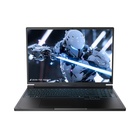 Ноутбук Thunderobot RS16 (RS16-R97945HX57TC1Q240ARB) U1073037