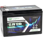 Батарея LiFePo4 Longttech LiFePO4 12.8V - 12Ah (LAR1212-LT12-R32) U0942262