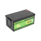 Батарея LiFePo4 ANENJI ANJ-12V-300AH-PX 12,8V 304Ah, 3.84kWh (ANJ-12V-300AH-PX) U1192675