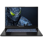 Ноутбук Dream Machines RG5050-17 (RG5050-17UA35) U1172389