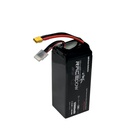 Акумуляторний блок RacePow Lipo 6s 12000mAh 60C XT60 (12000mAh-6s-60C) U0952769