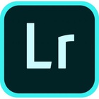 ПО для мультимедиа Adobe Lightroom w Classic for teams ALL Multiple Platforms Multi E (65297834BA01A12) U0424267