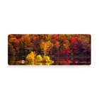 Килимок для мишки Voltronic Autumn forest (AT372) U1077183