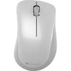 Мышка CANYON MW-11 Wireless Pixart White Grey (CNE-CMSW11PW) U0502740