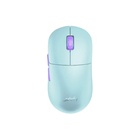 Мышка Xtrfy M8 RGB Wireless Frosty Mint (M8W-RGB-MINT) U0786780