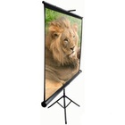 Проекционный экран T100UWV1 ELITE SCREENS S0006041