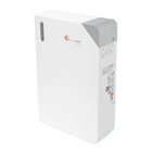 Батарея LiFePo4 FelicityESS 51.2V 100Ah 5.12kWh (FLB48100WG1-H) U1189388