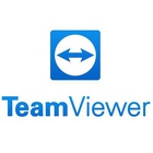 Системная утилита TeamViewer TM Corporate Subscription Annual (S312) U0292055