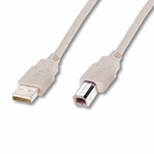 Кабель для принтера USB 2.0 AM/BM 1.8m Digitus (AK-300102-018-E) U0001421