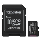 Карта пам'яті Kingston 256GB microSDXC class 10 UHS-I V10 A1 Canvas Select Plus (SDCS3/256GB) U1096907