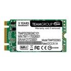 Накопитель SSD M.2 2242 256GB Team (TM4PS5256GMC101) U0258938
