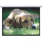 Проекционный экран Lumi PSAC120 U0036668