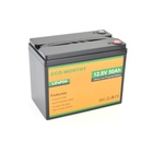 Батарея LiFePo4 Dyness 12,8V 50Ah (50/50A) (Eco-Worthy-1250) U1192670