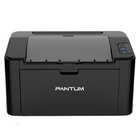 Лазерный принтер Pantum P2207 U0120231