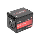 Батарея LiFePo4 Dumfume 12,8V 100Ah 1280Wh (Dum-12,8V/100Ah-MINI MAX) U1191845