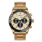 Смарт-годинник HiFuture gopro 2 gold (gopro2.gold) U1120639