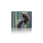 Килимок для мишки Voltronic Two Bears (YT-CAT11) U1076803