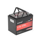 Батарея LiFePo4 Dumfume 12,8V 100Ah 1280Wh (Dumfume-12,8V/100Ah-MINI) U1191844