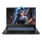 Ноутбук Dream Machines RG5050-17 (RG5050-17UA34) U1199587