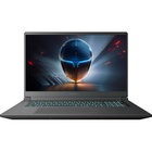 Ноутбук Thunderobot 911 X17 (911X17-i7136H56C1Q165MB) U1110722