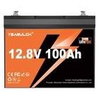 Батарея LiFePo4 YEAGULCH 12.8V 100Ah Mini (YEAGULCH-12,8V/100Ah Mini) U1142194
