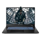 Ноутбук Dream Machines RT5050-17 (RT5050-17UA22) U1082489