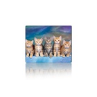 Килимок для мишки Voltronic Five Cats (YT-CAT30) U1076802